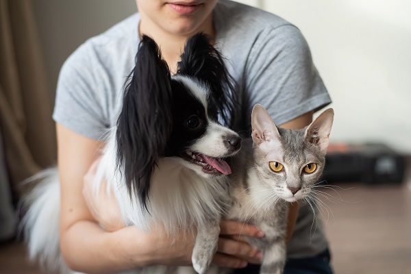 Pet Nutrition