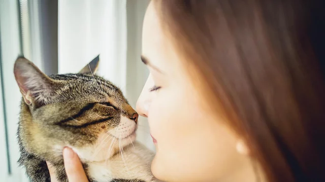 Grooming Techniques